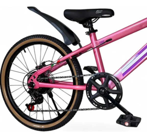 BICICLETA R. 22 FIAT 500 MOUNTAIN BIKE CON CAMBIOS - DENCAR - Image 6