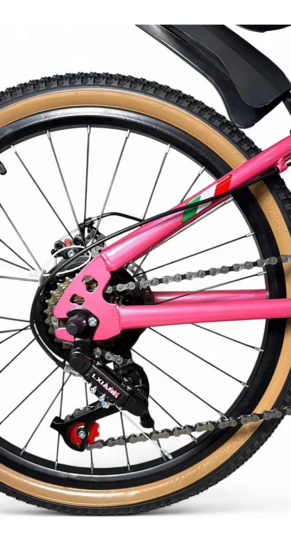 BICICLETA R. 22 FIAT 500 MOUNTAIN BIKE CON CAMBIOS - DENCAR - Image 3