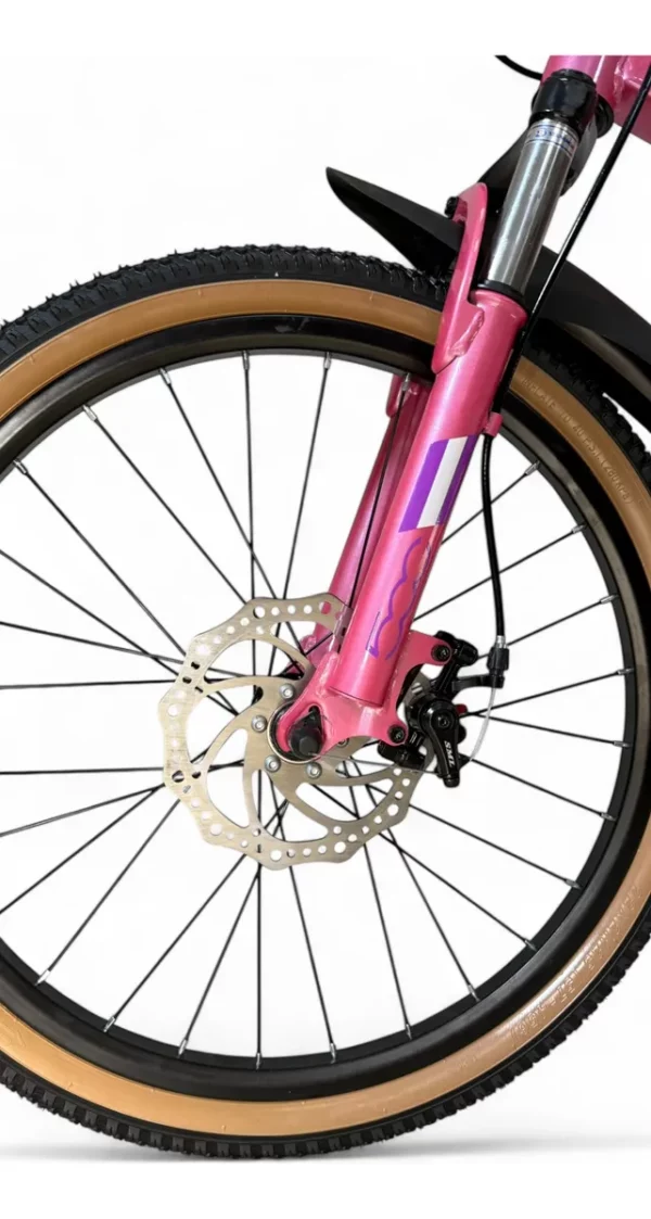 BICICLETA R. 22 FIAT 500 MOUNTAIN BIKE CON CAMBIOS - DENCAR - Image 2