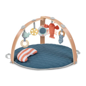 GIMNASIO PREMUIM COZY SPOT ACTIVITY AZUL - INGENUITY