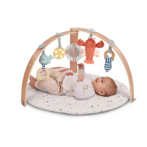 GIMNASIO PREMIUM COZY SPOT ACTIVITY ROSA - INGENUITY